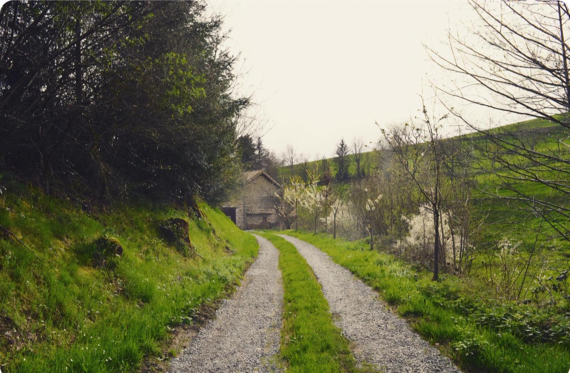 La Fabrique Du Roncon Villa Saint-Bonnet-le-Troncy Bagian luar foto