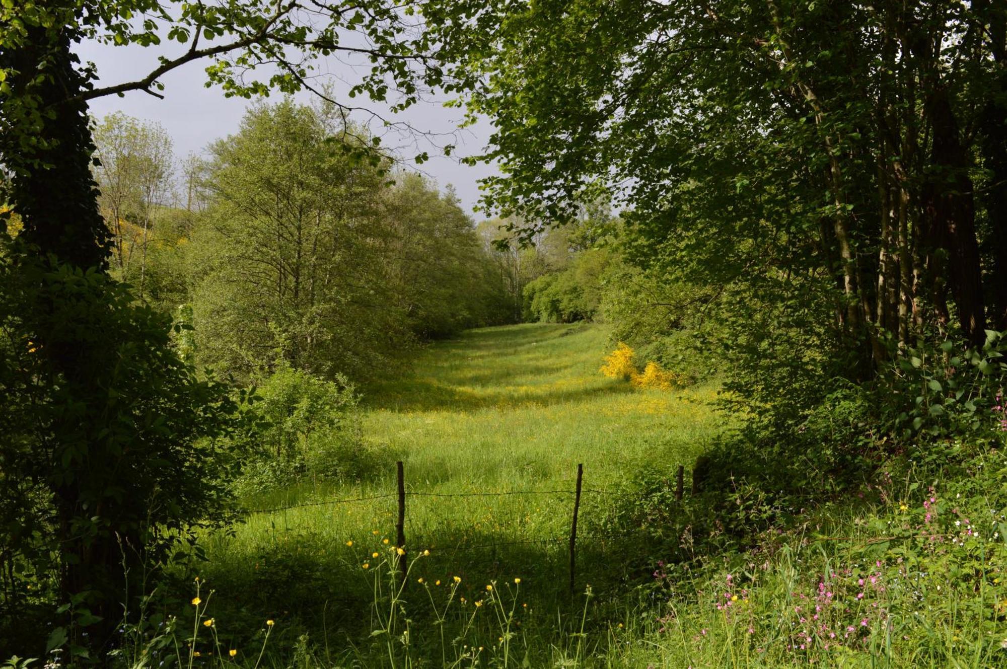 La Fabrique Du Roncon Villa Saint-Bonnet-le-Troncy Bagian luar foto